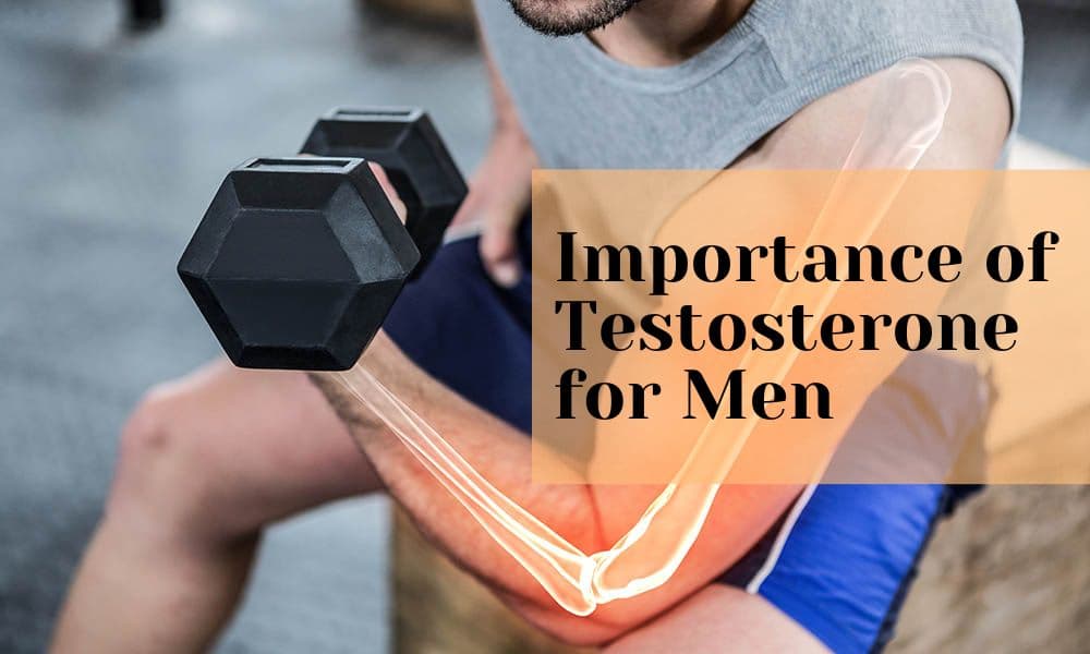 Importance of testosterone for men